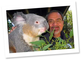 Tom and Ken the Koala